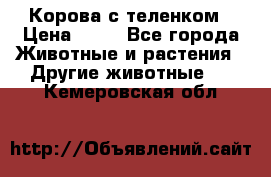 Корова с теленком › Цена ­ 69 - Все города Животные и растения » Другие животные   . Кемеровская обл.